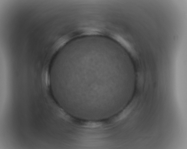 X0000113951269200910021458