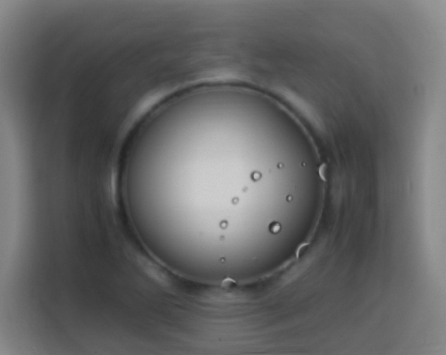 X0000113951270200910021458