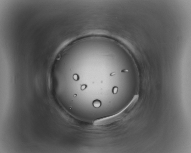 X0000113951271200910021458