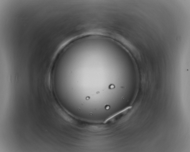 X0000113951272200910021458