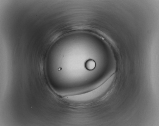 X0000113951273200910021458