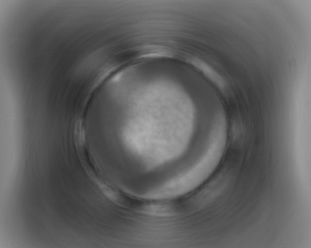 X0000113951274200910021458