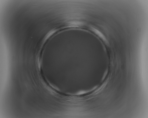 X0000113951275200910021458