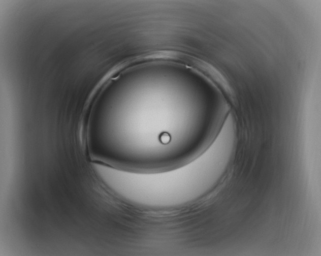 X0000113951276200910021458