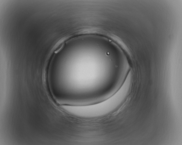 X0000113951277200910021458