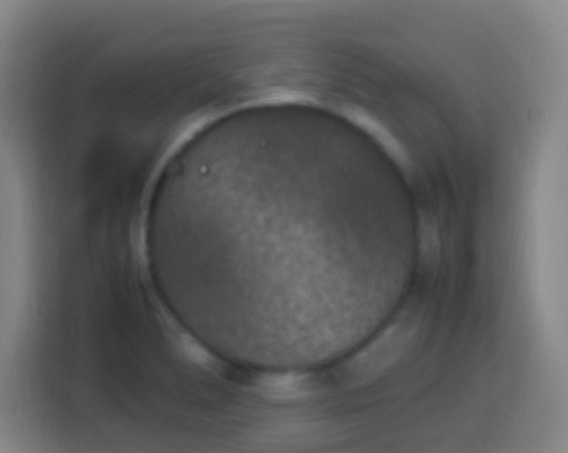 X0000113951278200910021458