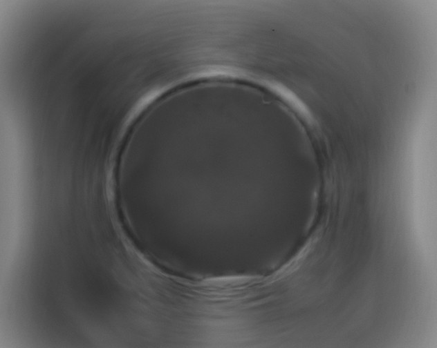 X0000113951279200910021458