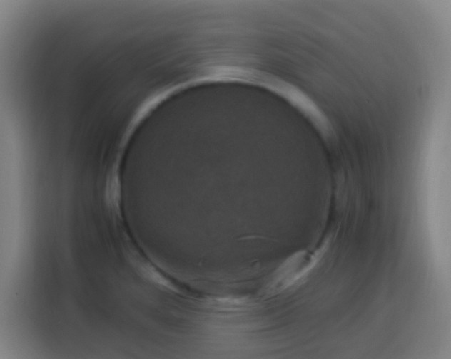 X0000113951280200910021458