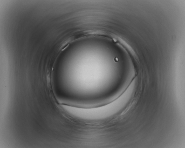 X0000113951281200910021458