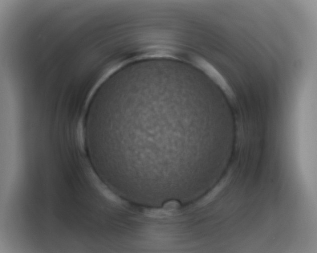 X0000113951284200910021458