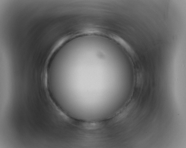 X0000113951286200910021458