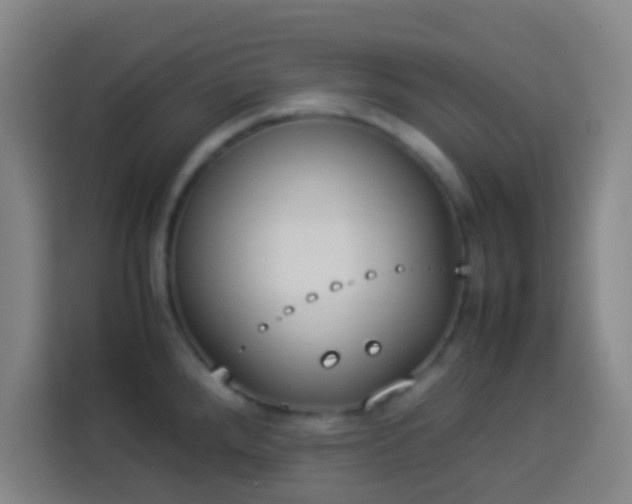 X0000113951288200910021458