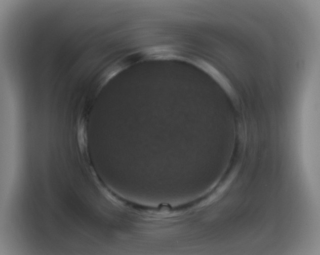 X0000113951289200910021458