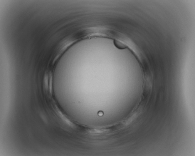 X0000113951290200910021458