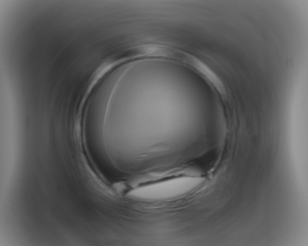 X0000113951291200910021458