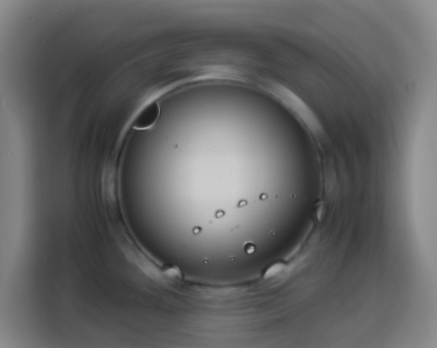 X0000113951292200910021458