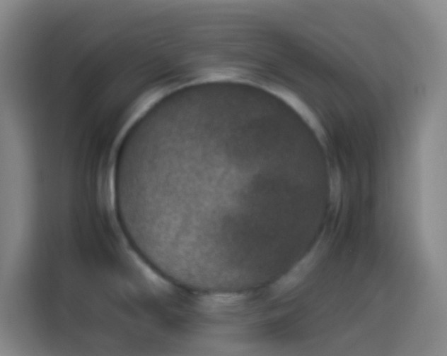 X0000113951294200910021458