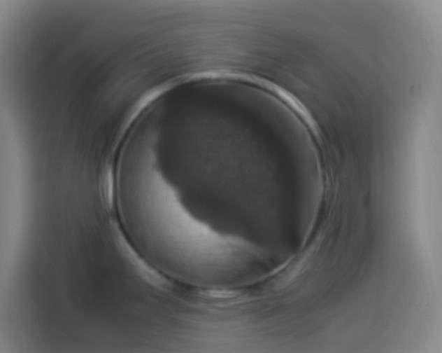 X0000113951295200910021458