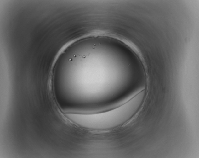 X0000113951296200910021458