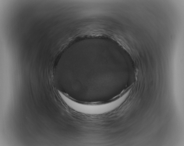 X0000113951298200910021457