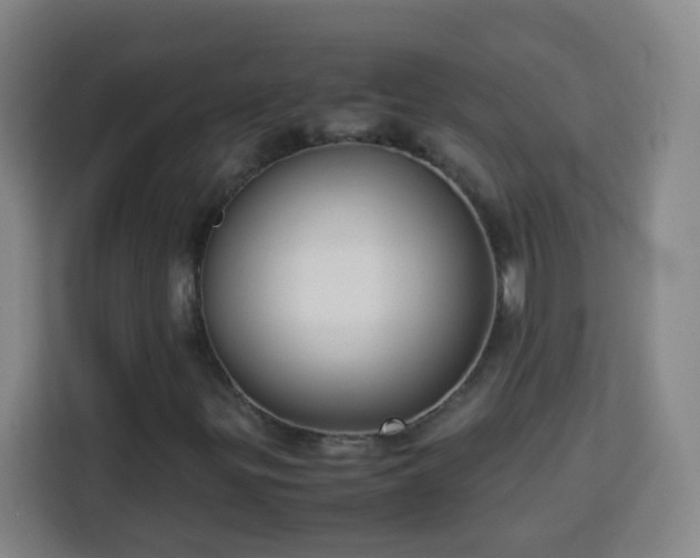X0000113951299200910021457