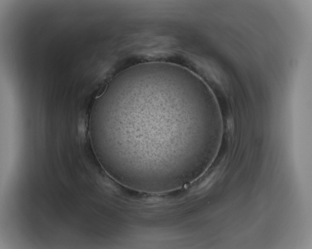 X0000113951300200910021457