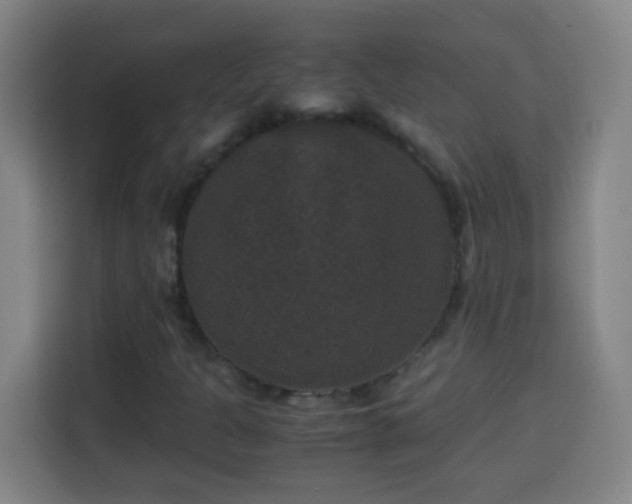 X0000113951301200910021457