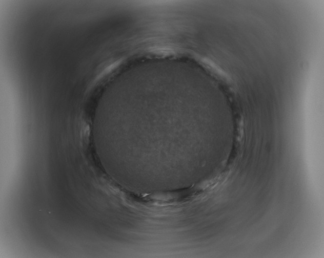 X0000113951302200910021457