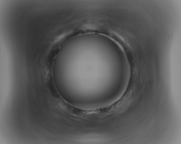 X0000113951303200910021458