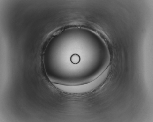 X0000113951304200910021458