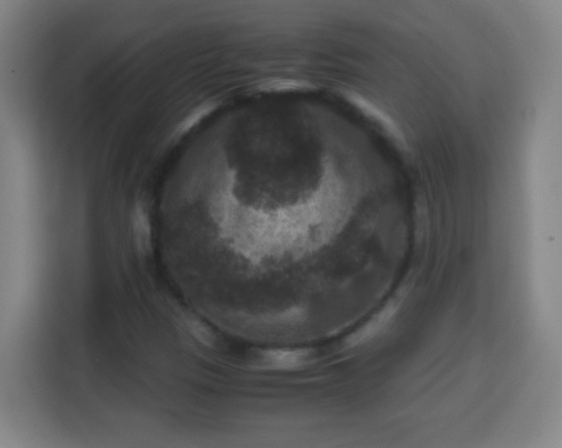 X0000113951305200910021458