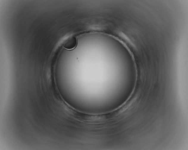 X0000113951307200910021458