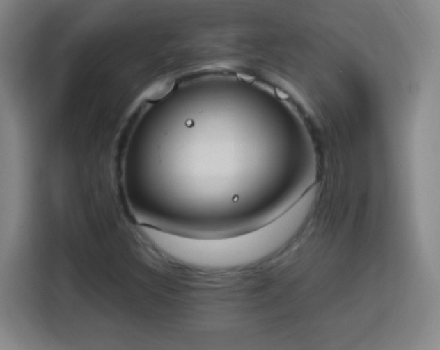 X0000113951308200910021458