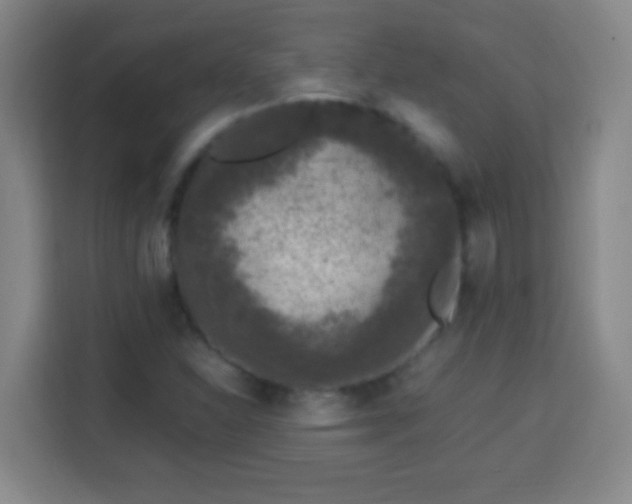 X0000113951310200910021458