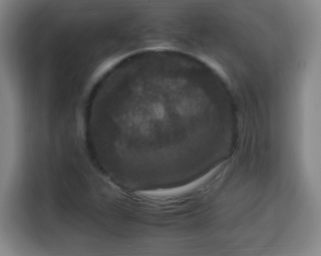 X0000113951311200910021458