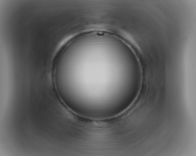 X0000113951312200910021458