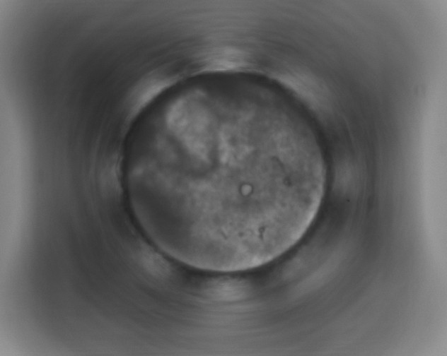 X0000113951314200910021458