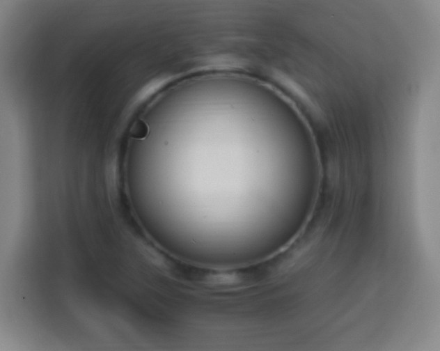 X0000113951315200910021458