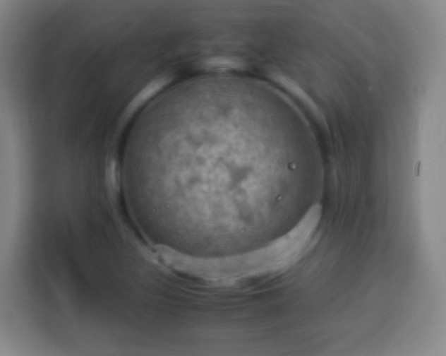 X0000113951317200910021458