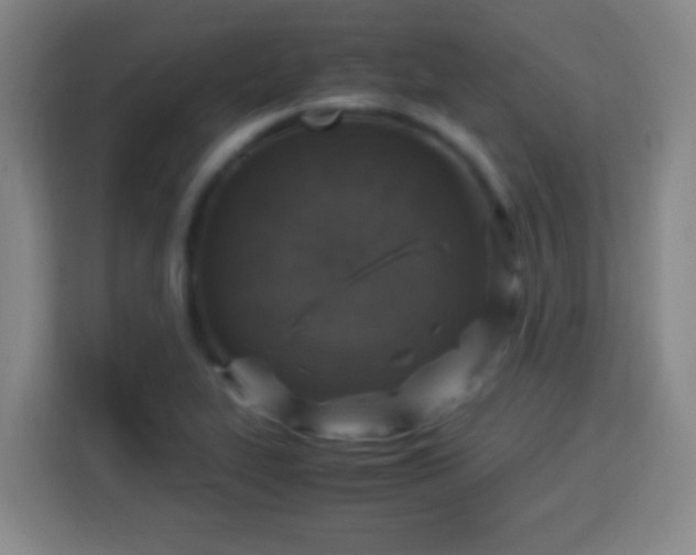 X0000113951319200910021458