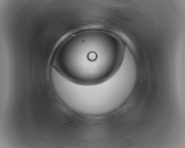 X0000113951324200910021458