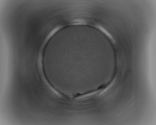 X0000113951325200910021458