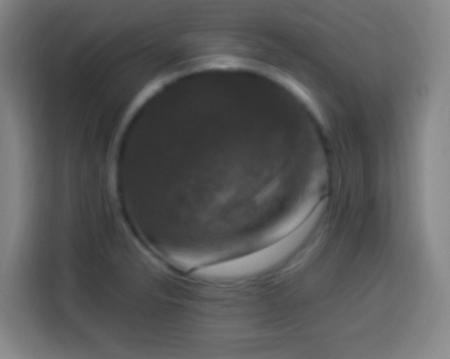 X0000113951326200910021458