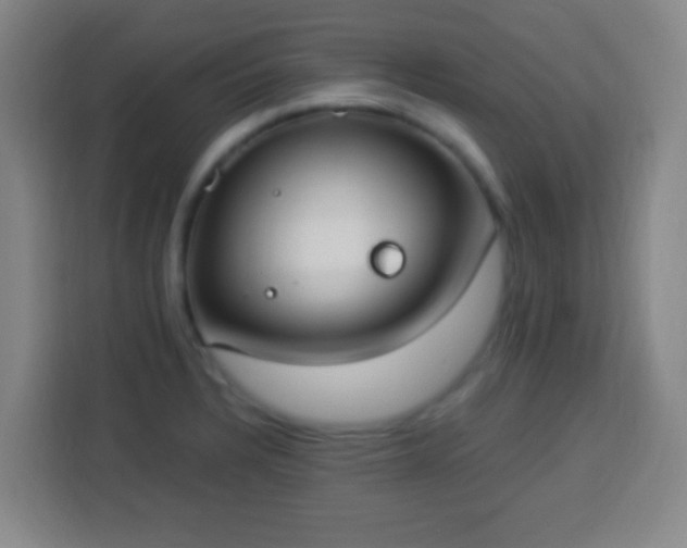 X0000113951328200910021458