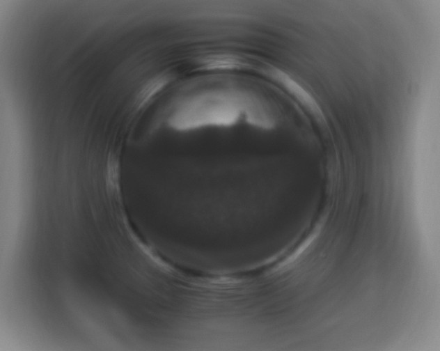 X0000113951329200910021458