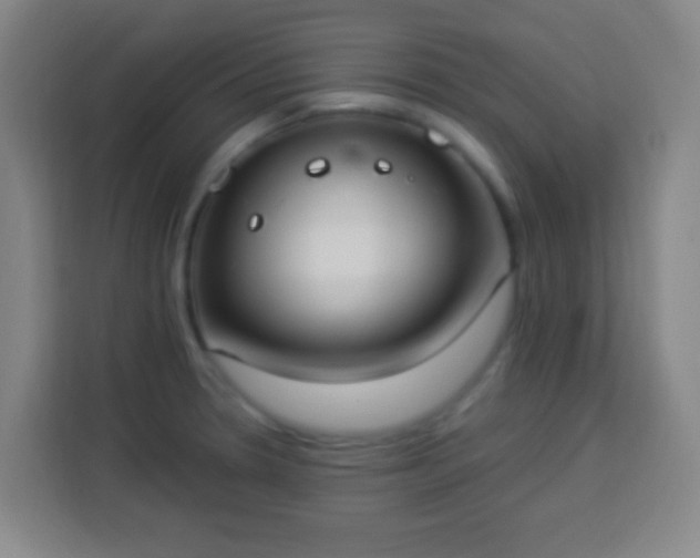 X0000113951330200910021458