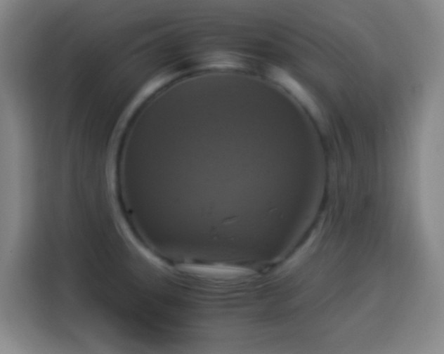 X0000113951331200910021458