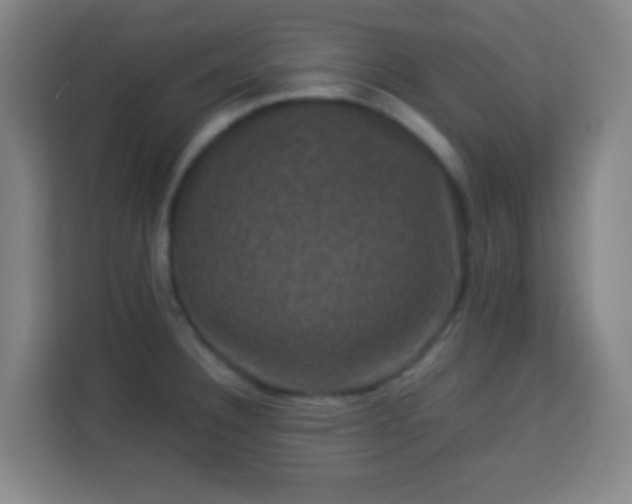 X0000113951332200910021458