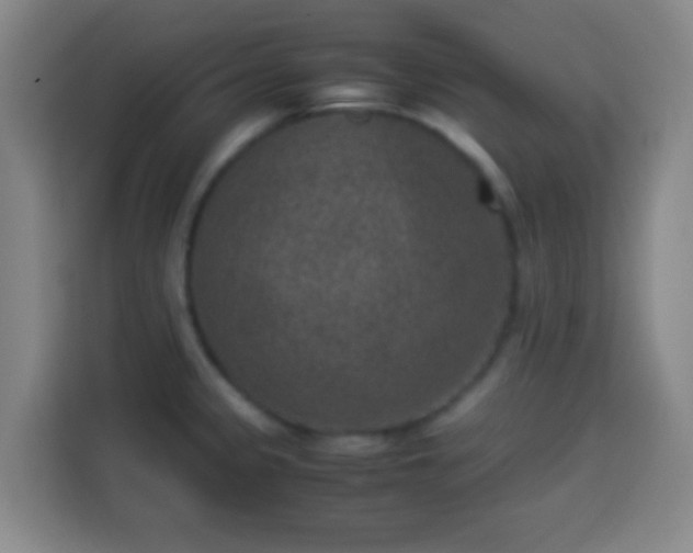 X0000113951333200910021458