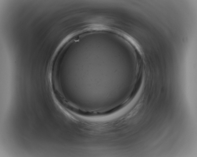 X0000113951334200910021458